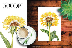 Dandelion Clipart Bundle - CraftNest - Digital Crafting and Art