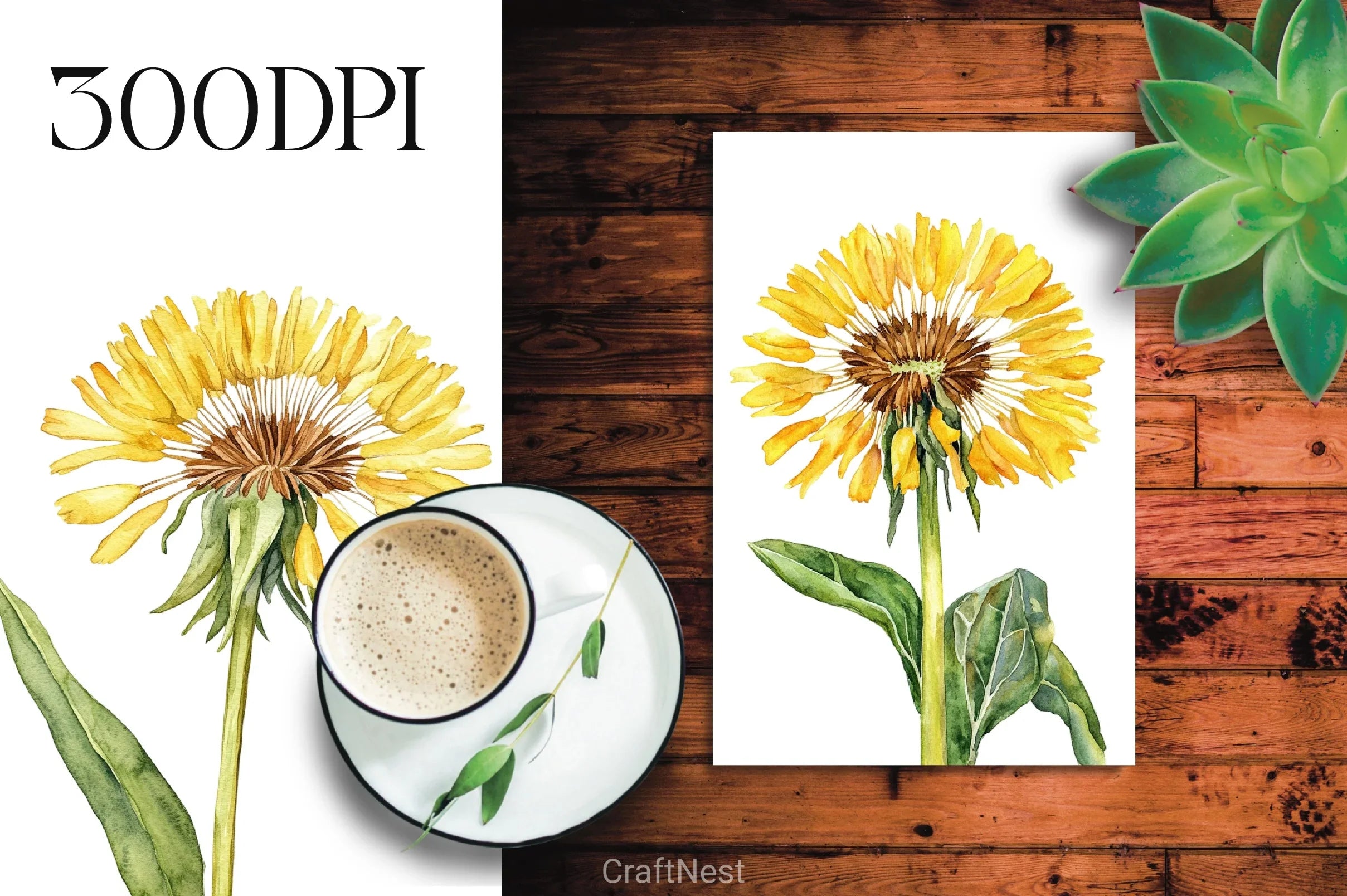 Dandelion Clipart Bundle - CraftNest - Digital Crafting and Art