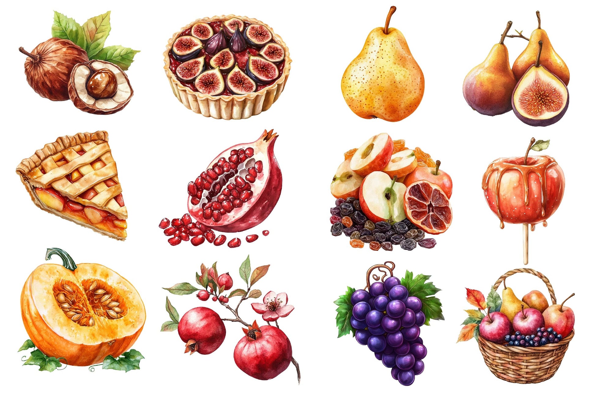Autumn Fruits Clipart Bundle 5 - CraftNest - Digital Crafting and Art