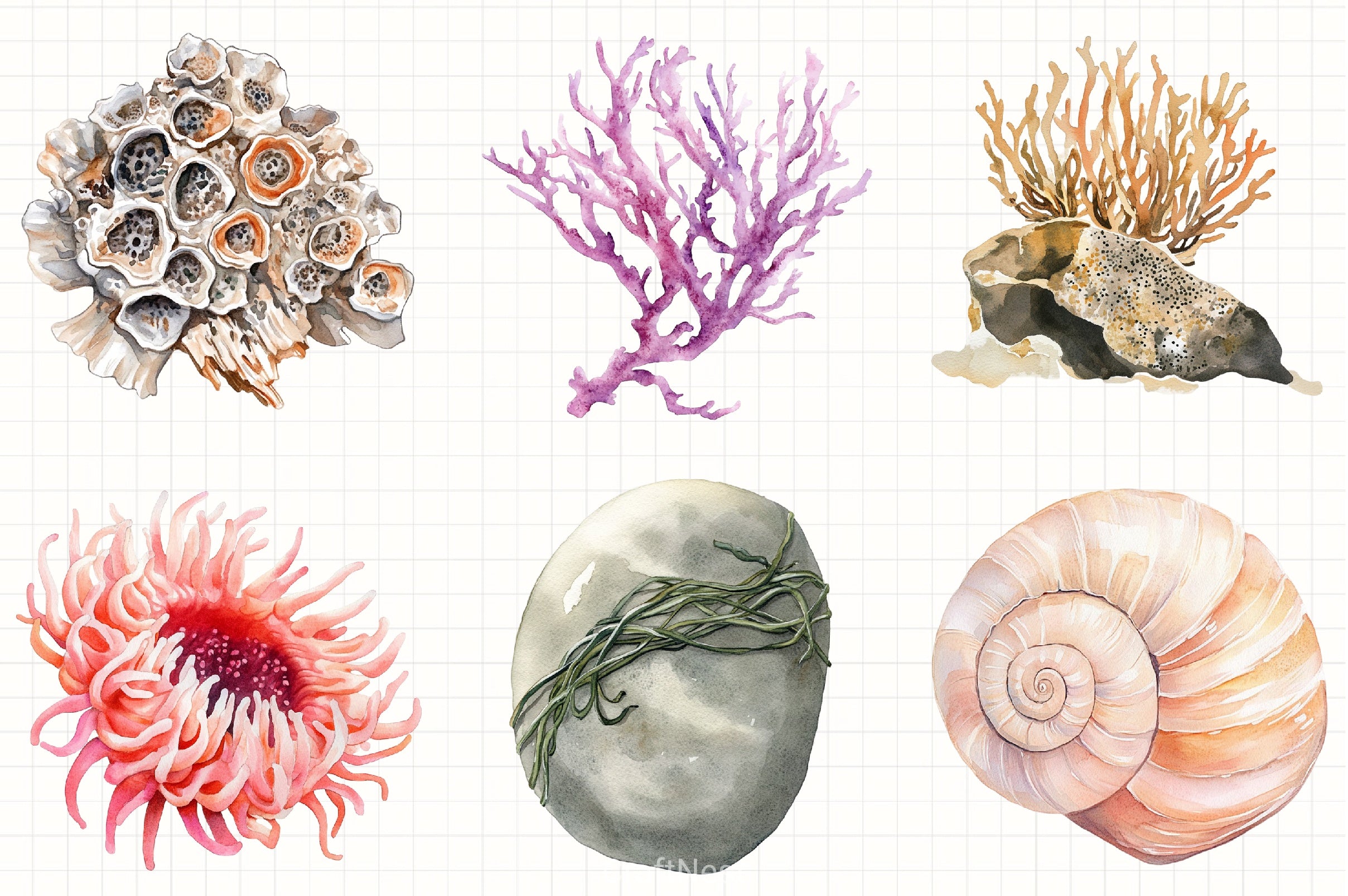 Underwater Clipart Bundle - CraftNest - Digital Crafting and Art