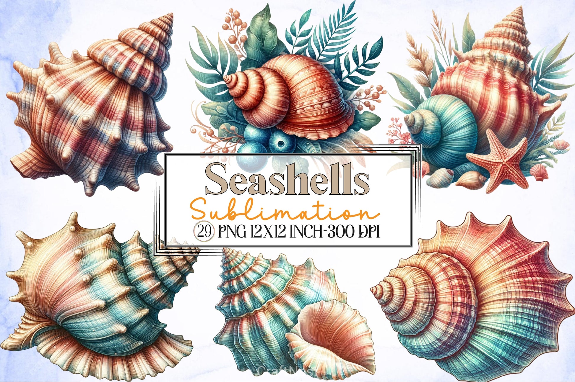 Seashells Clipart Bundle - CraftNest - Digital Crafting and Art