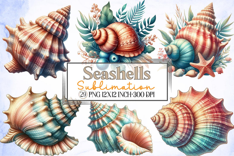 Seashells Clipart Bundle - CraftNest - Digital Crafting and Art