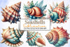 Seashells Clipart Bundle