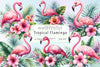 Flamingo Tropical Clipart Bundle