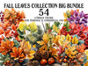 Autumn Leaves Collection