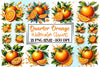 Quarter Orange Clipart Bundle