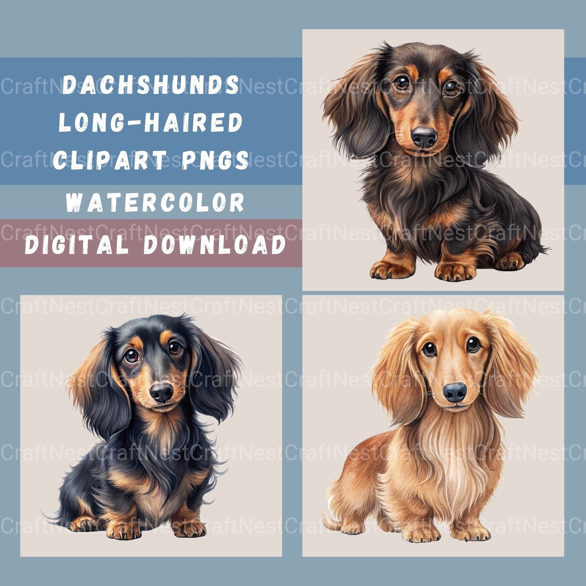 Dachshund Long Hair Clipart Bundle - CraftNest - Digital Crafting and Art