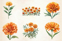Marigold Clipart Bundle 3 - CraftNest - Digital Crafting and Art