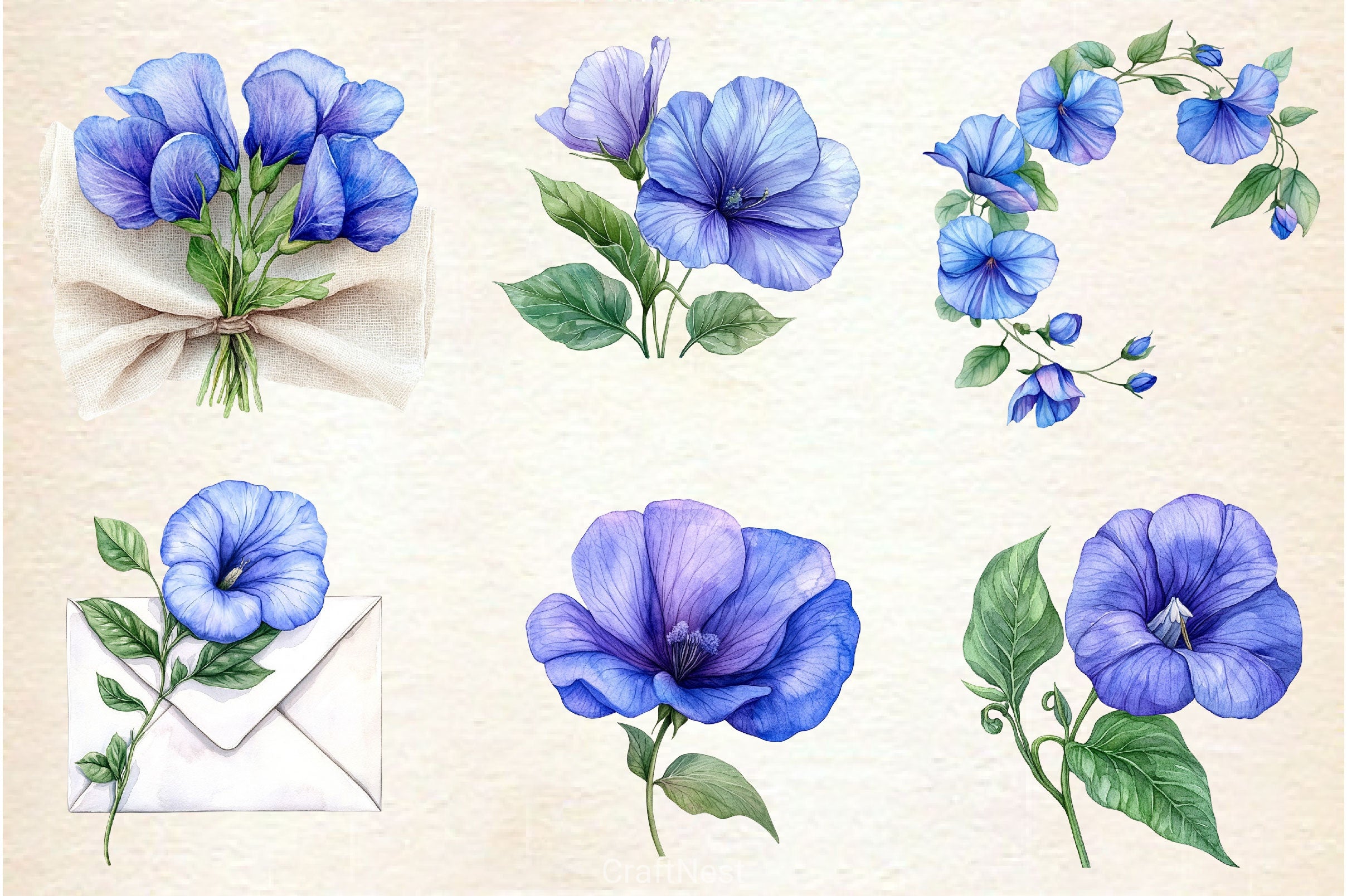 Butterfly Pea Flower Clipart Bundle - CraftNest - Digital Crafting and Art