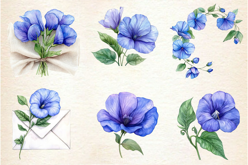 Butterfly Pea Flower Clipart Bundle - CraftNest - Digital Crafting and Art