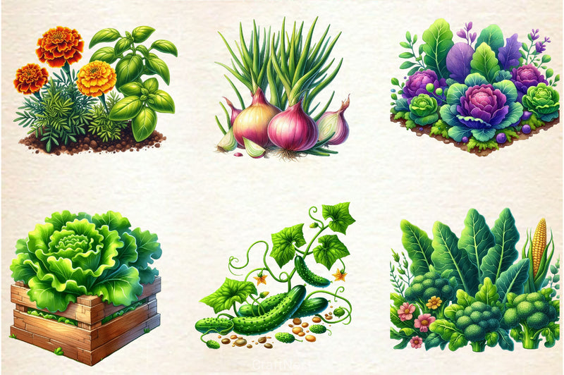 Garden Patch Clipart Bundle - CraftNest - Digital Crafting and Art