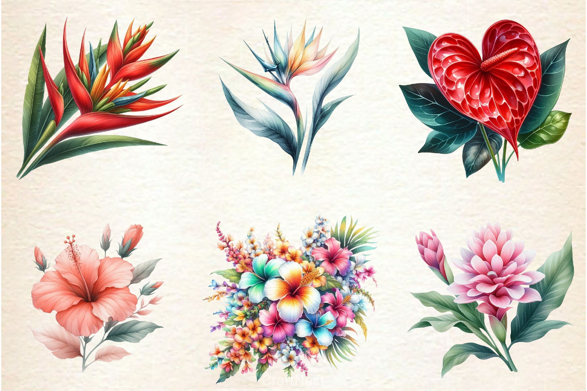 Hawaiian Flowers Clipart Bundle - CraftNest - Digital Crafting and Art