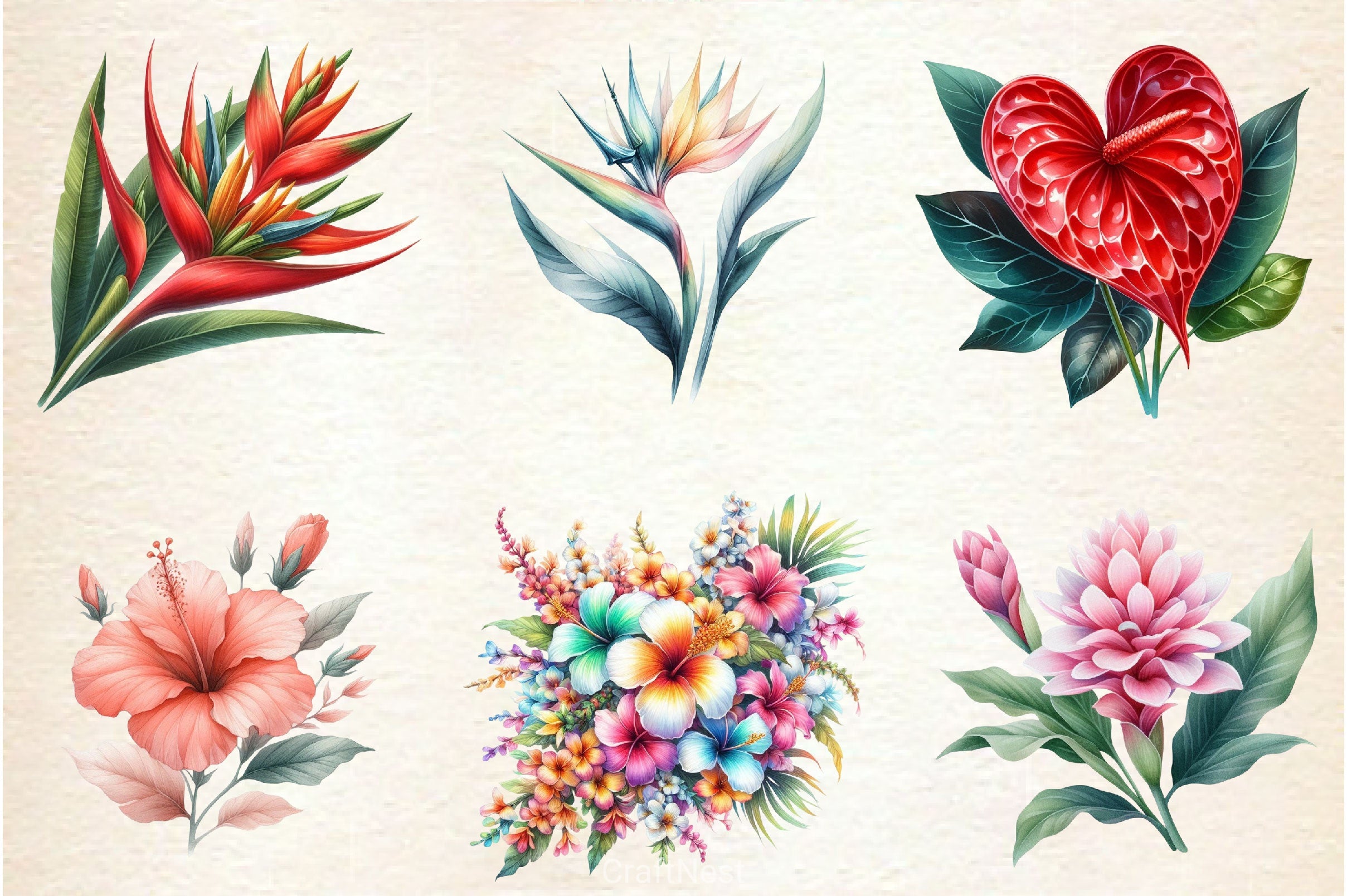 Hawaiian Flowers Clipart Bundle - CraftNest - Digital Crafting and Art