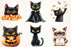 Crazy Black Cats Clipart Bundle - CraftNest - Digital Crafting and Art