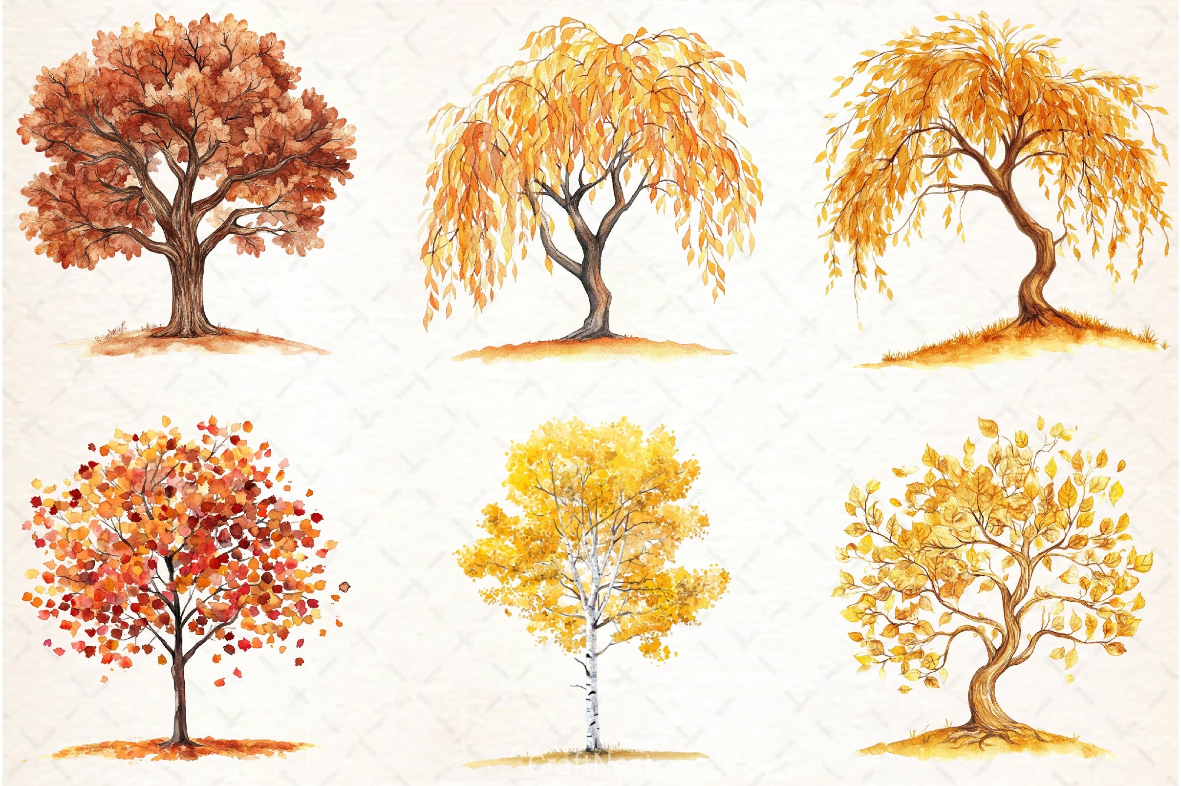 Autumn Trees Clipart Bundle 6 - CraftNest - Digital Crafting and Art