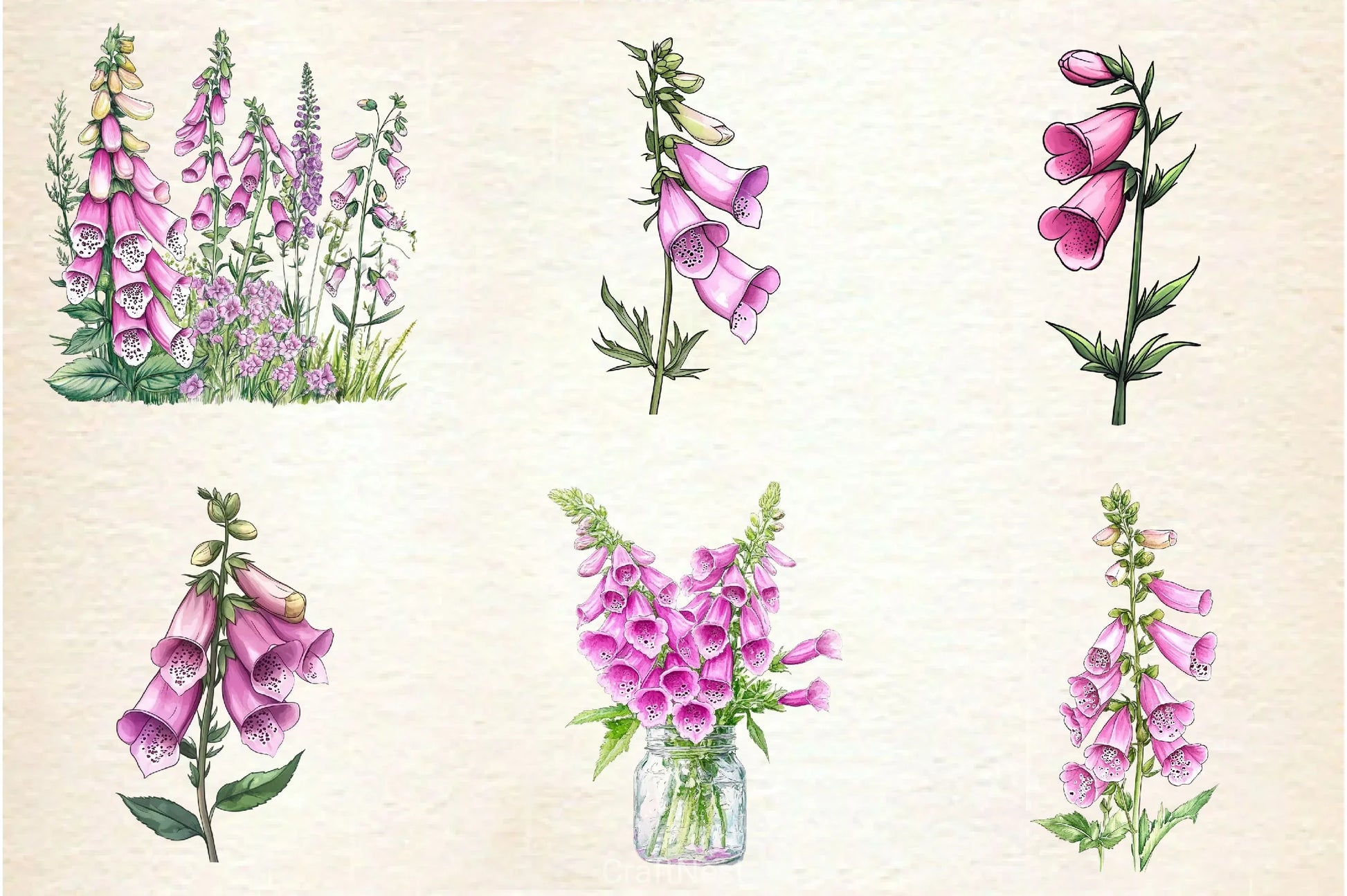 Pink Flowers Foxglove Clipart Bundle - CraftNest - Digital Crafting and Art