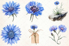 Blue Cornflower Clipart Bundle 2 - CraftNest - Digital Crafting and Art