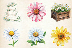 Daisies Flowers Clipart Bundle - CraftNest - Digital Crafting and Art