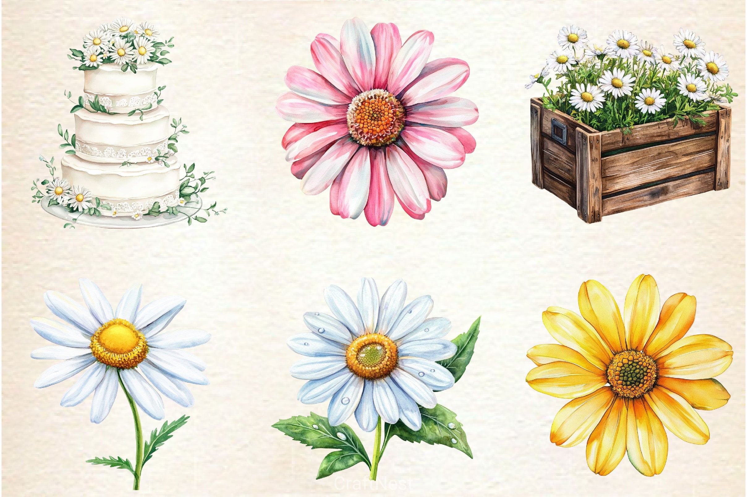 Daisies Flowers Clipart Bundle - CraftNest - Digital Crafting and Art