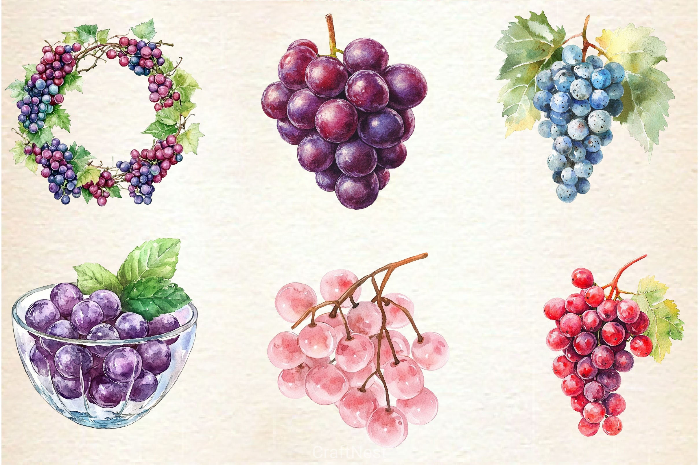 Grape Clipart Bundle 2 - CraftNest - Digital Crafting and Art