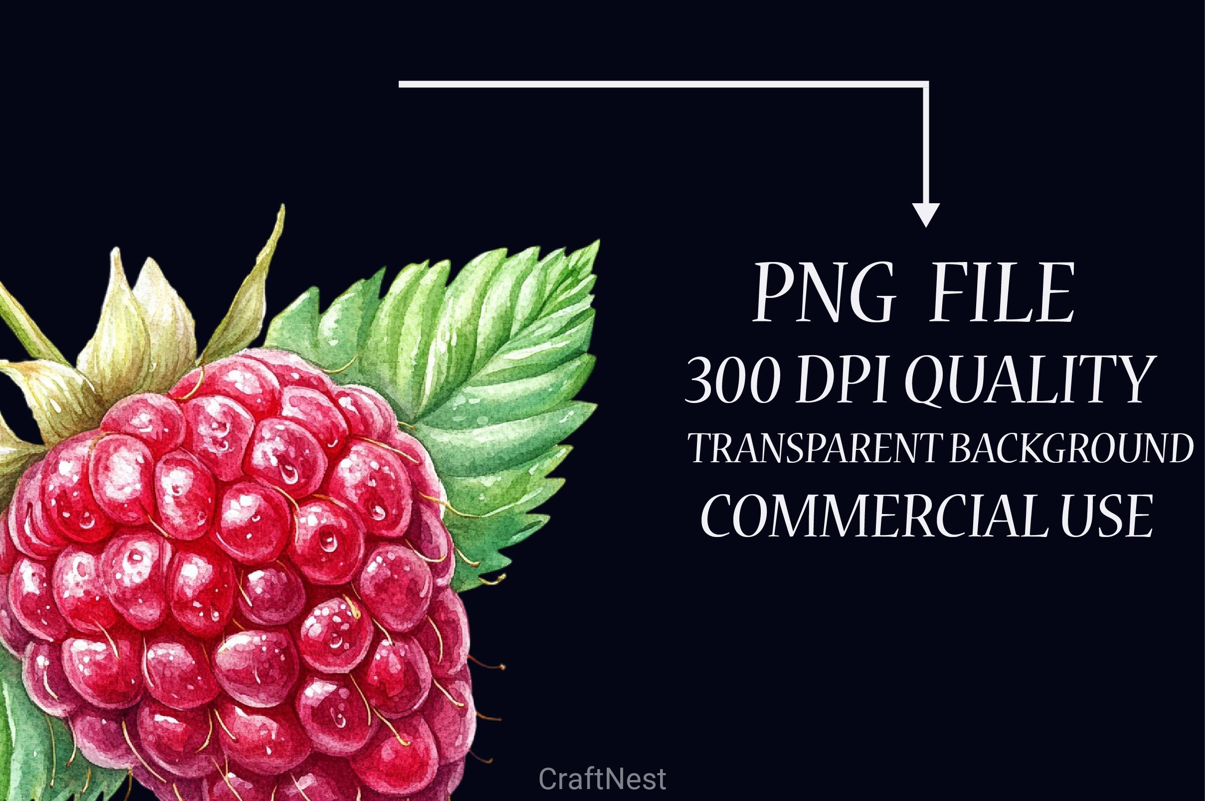 Raspberry Clipart Bundle 52 - CraftNest - Digital Crafting and Art