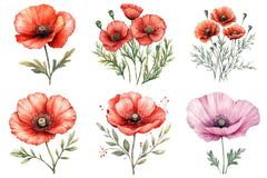 Corn Poppy Flower Bloom Clipart - CraftNest - Digital Crafting and Art