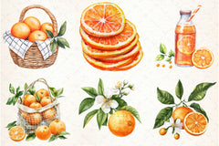 Citrus Orange Clipart Bundle - CraftNest - Digital Crafting and Art