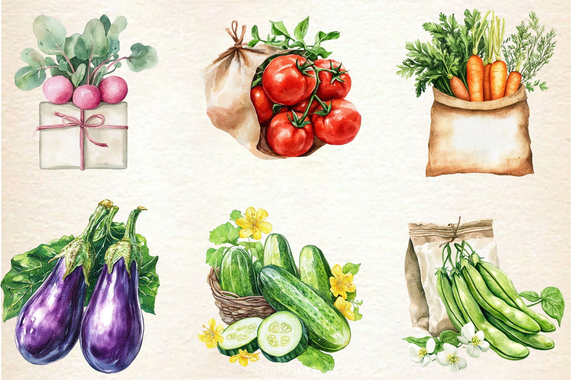 Vegetable Seeds Packet Clipart Bundle - CraftNest - Digital Crafting and Art