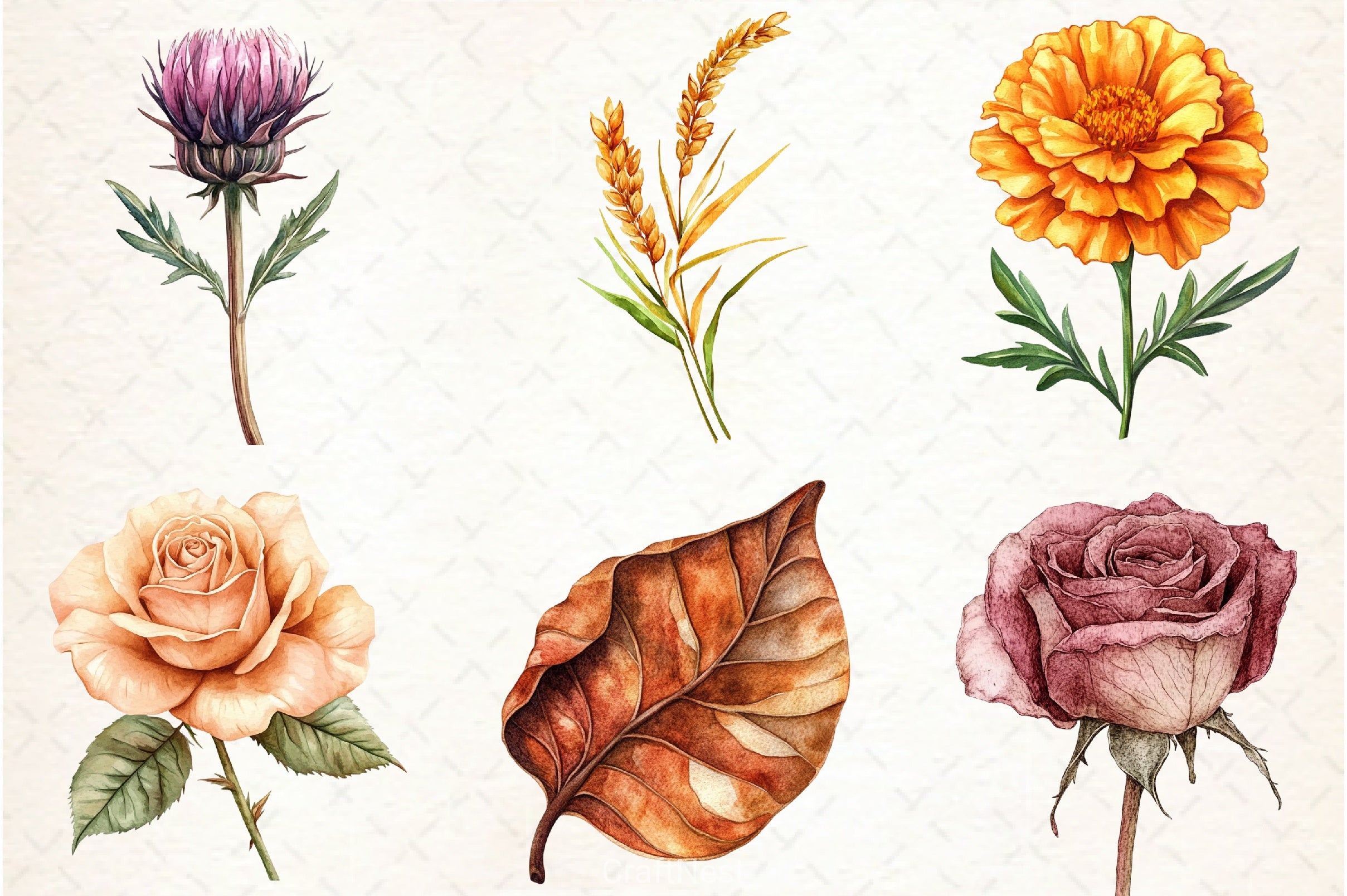 Fall Flowers & Leaves Clipart Bundle - CraftNest - Digital Crafting and Art
