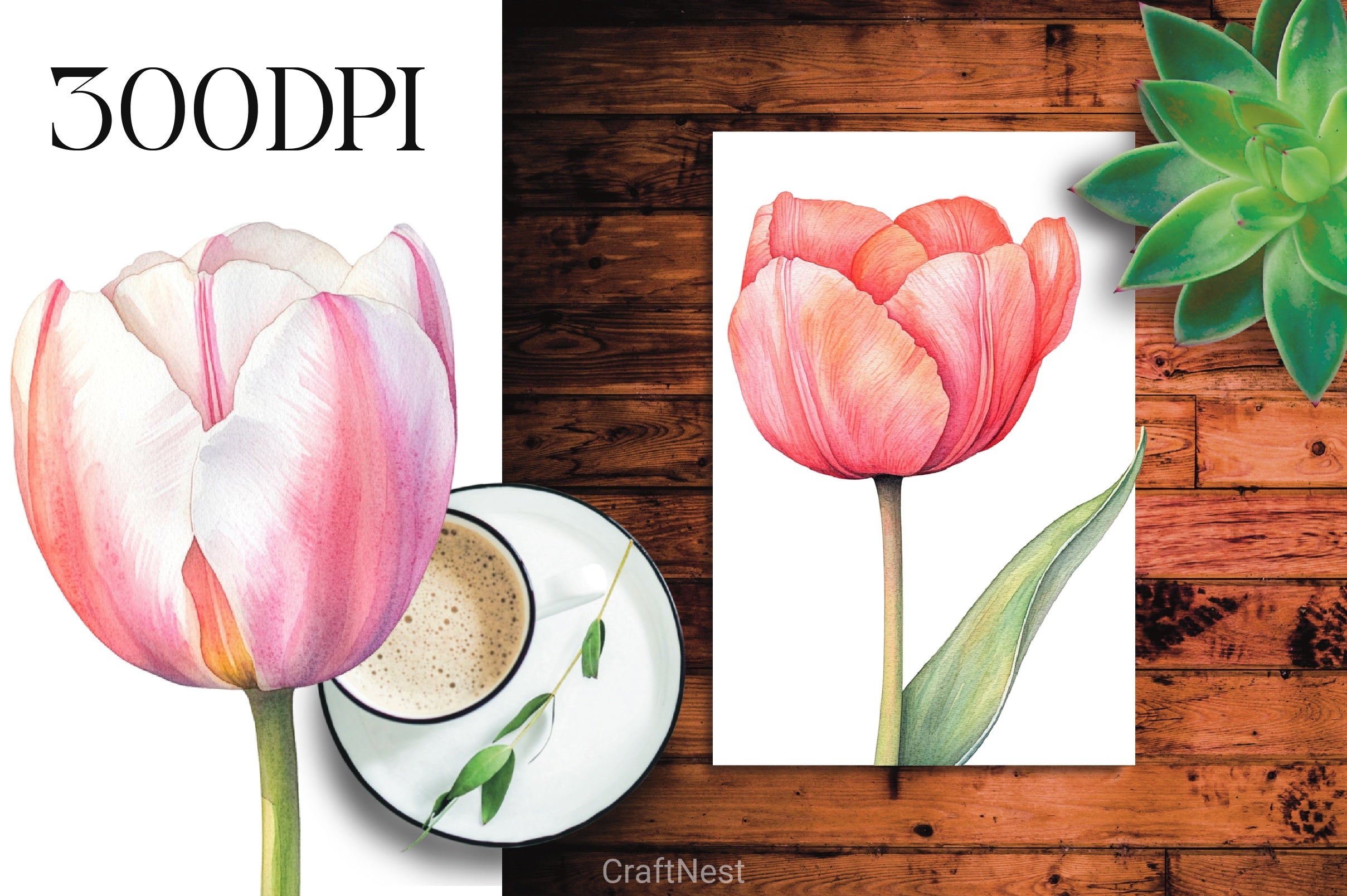 Tulip Flower Clipart Bundle - CraftNest - Digital Crafting and Art