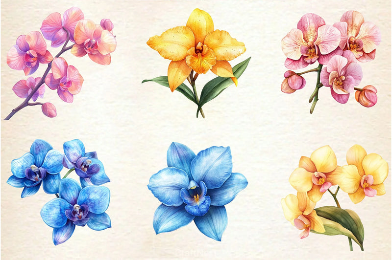 Orchid Clipart Bundle 2 - CraftNest - Digital Crafting and Art