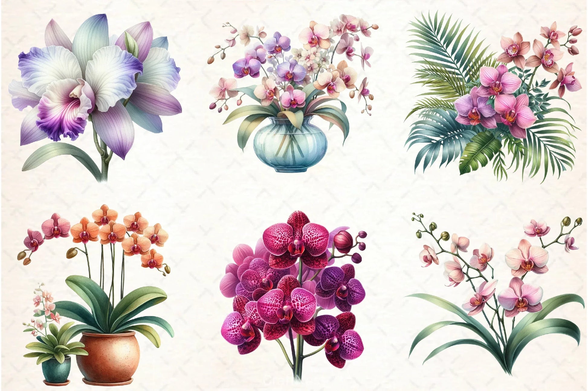 Orchid Clipart Bundle 3 - CraftNest - Digital Crafting and Art