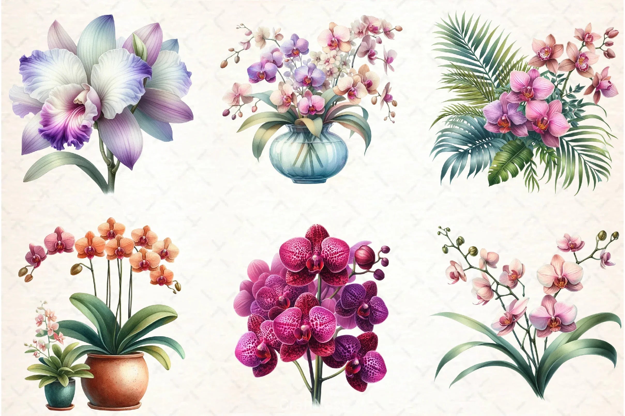 Orchid Clipart Bundle 3 - CraftNest - Digital Crafting and Art