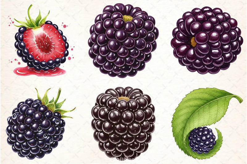 Blackberry Clipart Bundle 3 - CraftNest - Digital Crafting and Art