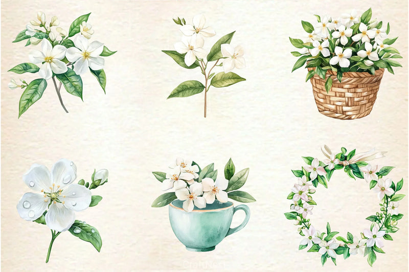 Spring Jasmine Flower Clipart Bundle 5 - CraftNest - Digital Crafting and Art