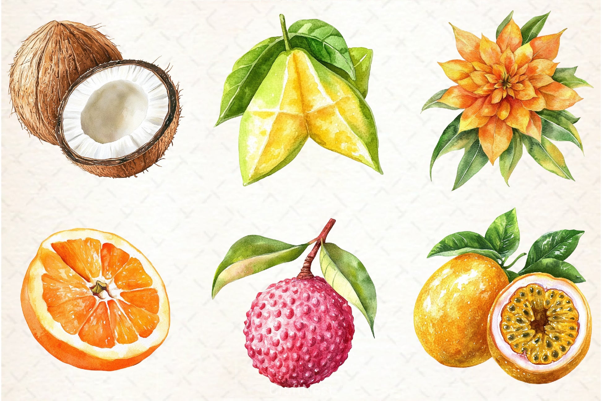 Tropical Fruit Clipart Bundle - CraftNest - Digital Crafting and Art