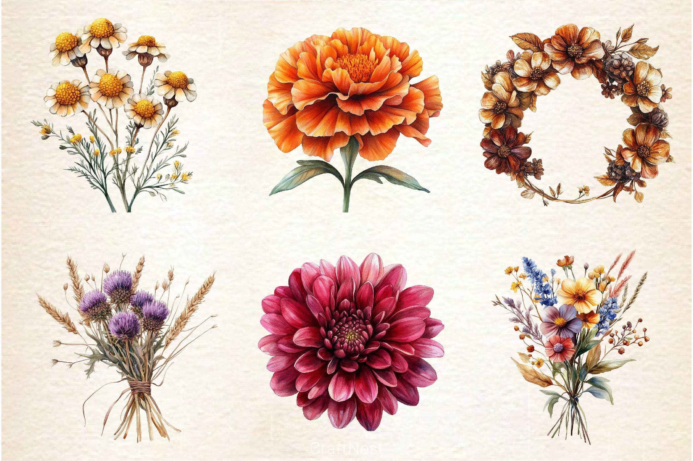 Autumn Wildflowers Clipart Bundle 9 - CraftNest - Digital Crafting and Art
