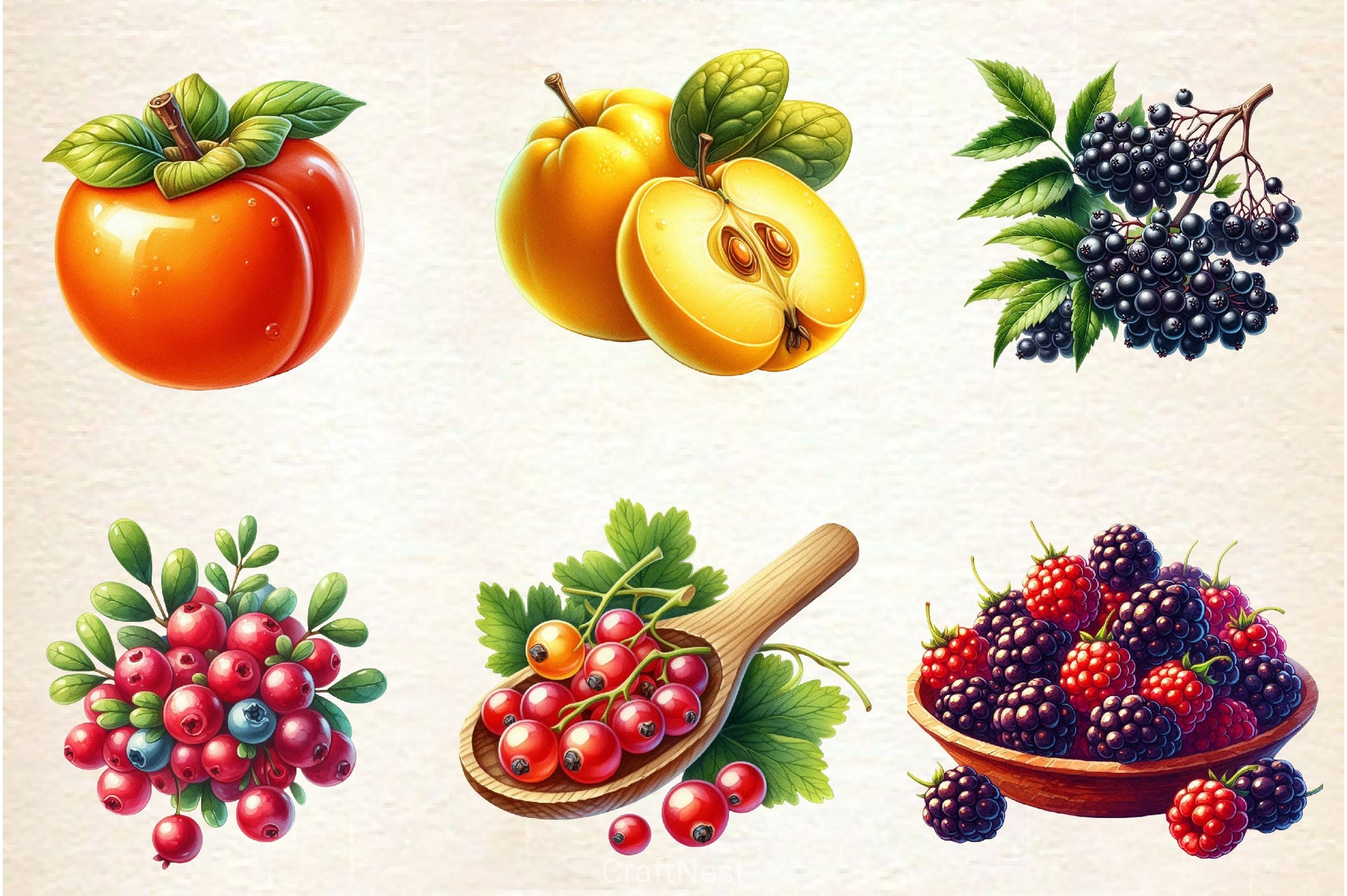 Autumn Fruits Clipart Bundle 4 - CraftNest - Digital Crafting and Art