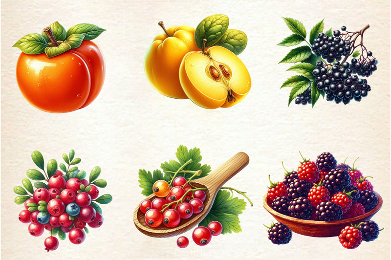 Autumn Fruits Clipart Bundle 4 - CraftNest - Digital Crafting and Art
