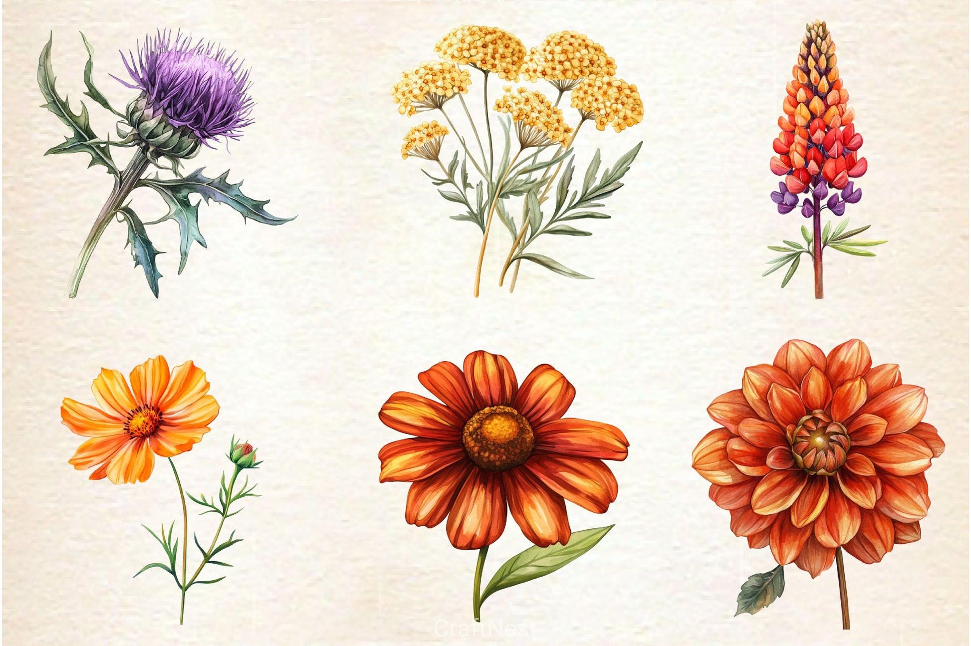 Autumn Wildflowers Clipart Bundle 2 - CraftNest - Digital Crafting and Art