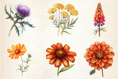 Autumn Wildflowers Clipart Bundle 2 - CraftNest - Digital Crafting and Art