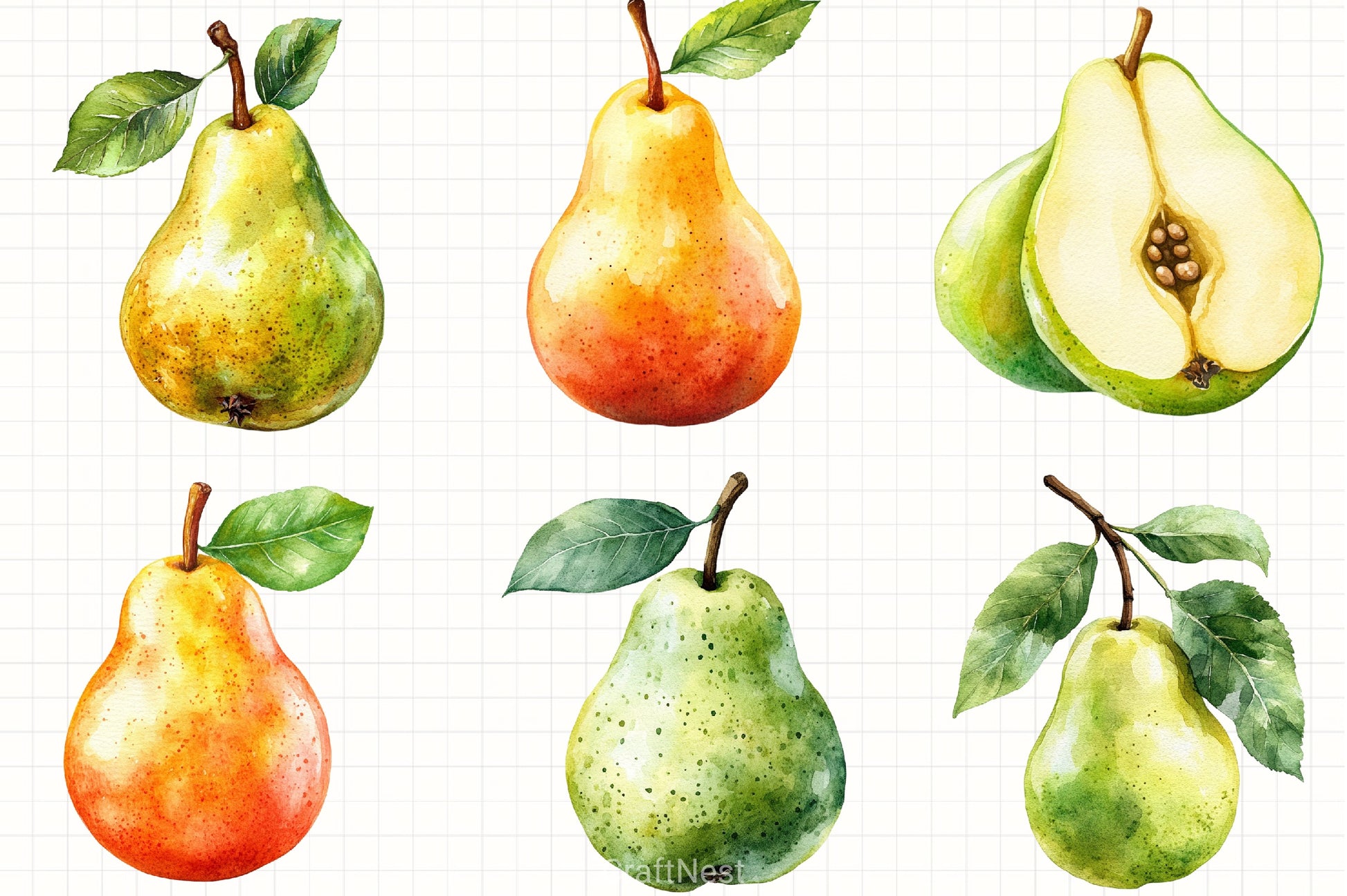 Pear Clipart Bundle - CraftNest - Digital Crafting and Art