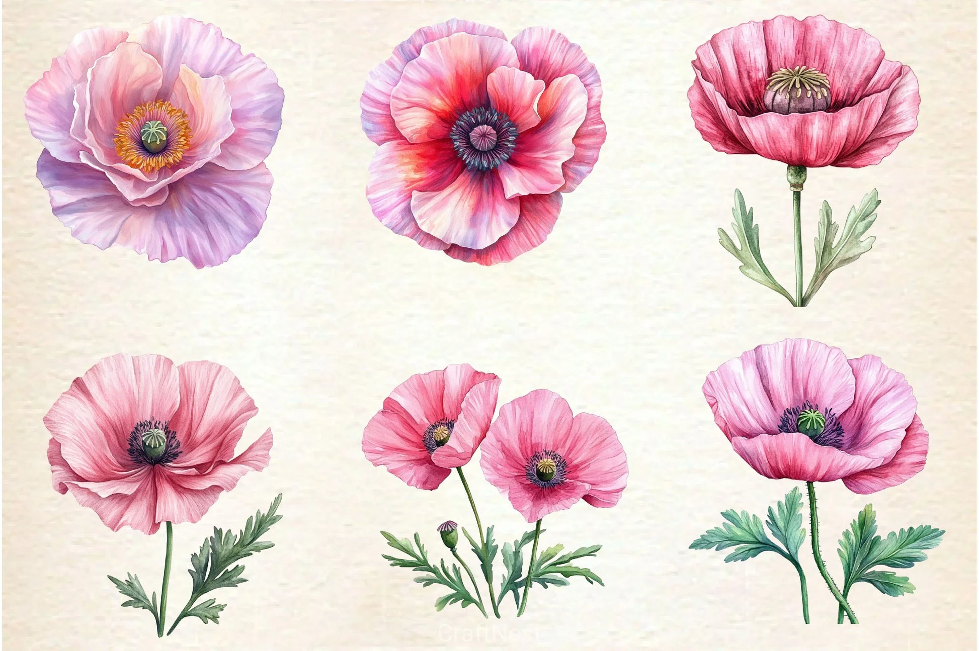 Spring Poppies Clipart Bundle - CraftNest - Digital Crafting and Art
