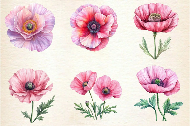 Spring Poppies Clipart Bundle - CraftNest - Digital Crafting and Art