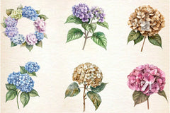 Hydrangea Clipart Bundle 2 - CraftNest - Digital Crafting and Art