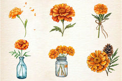 Fall Marigold Clipart Bundle 2 - CraftNest - Digital Crafting and Art
