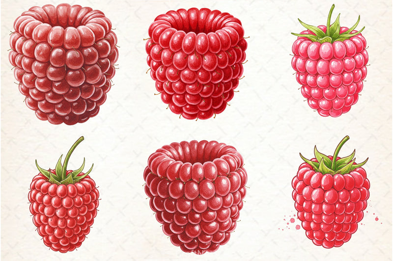 Raspberry Clipart Bundle 1 - CraftNest - Digital Crafting and Art