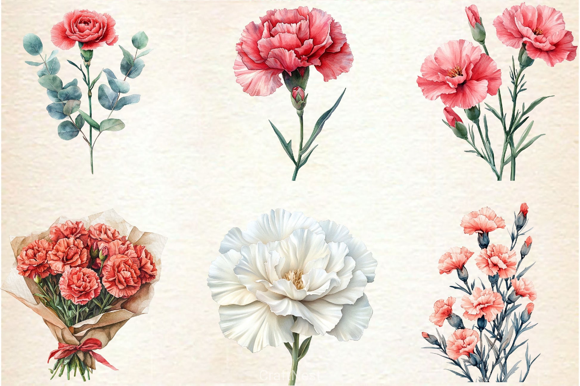 Carnation Flower Clipart Bundle 4 - CraftNest - Digital Crafting and Art