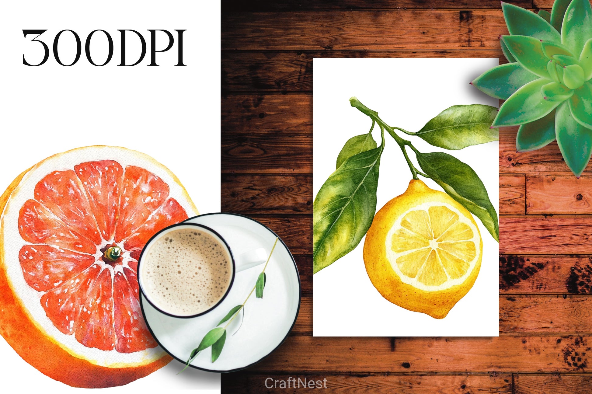 Citrus Fruit Clipart Bundle - CraftNest - Digital Crafting and Art