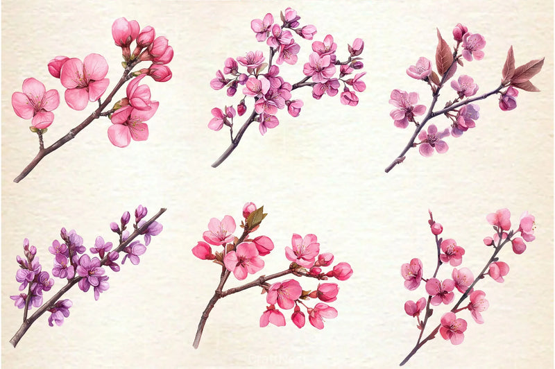 Spring Redbud Flower Clipart Bundle 2 - CraftNest - Digital Crafting and Art